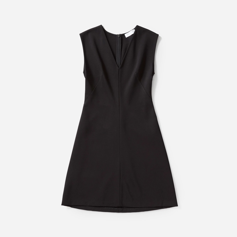 Everlane Black Sleeveless Flare Dress